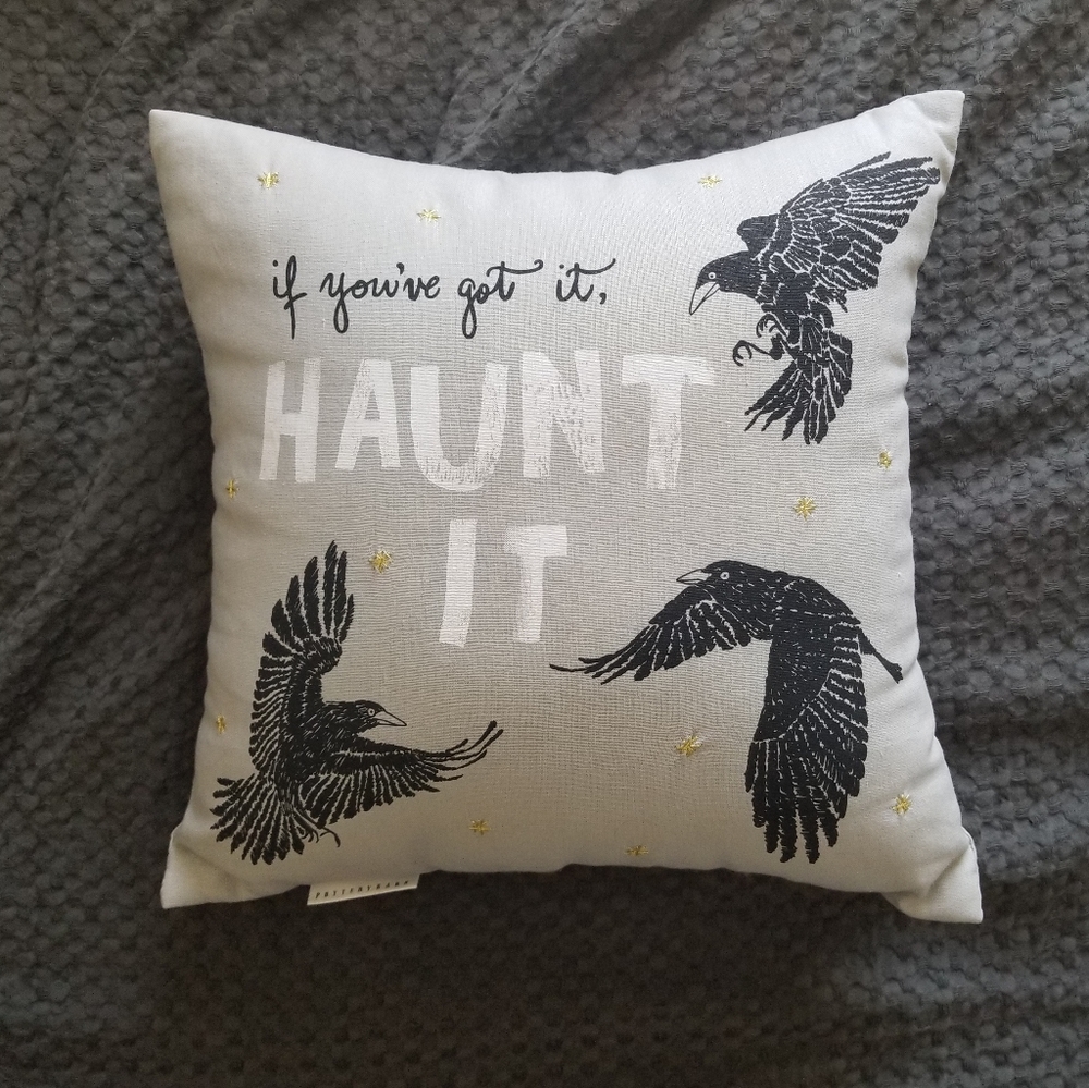 NWOT! Pottery Barn Accent Pillow